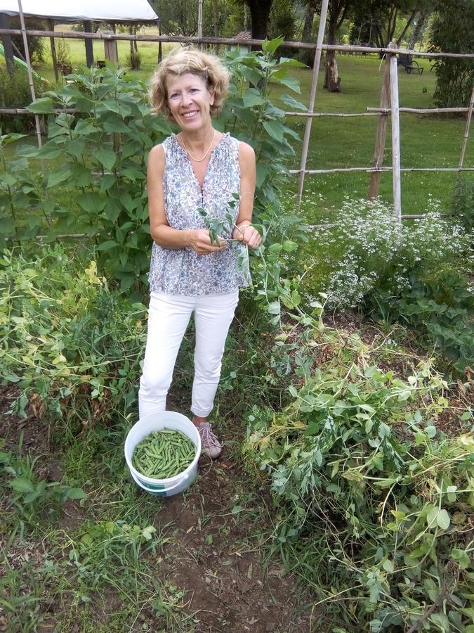 Les Arts Verts Kruth Esterno foto
